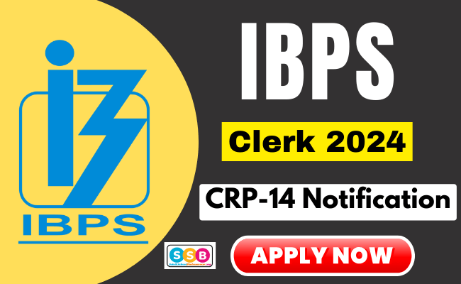 IBPS Clerk Recruitment 2024 CRP 14 Notification Out- Apply Online